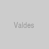 Michael E. Valdes